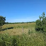 Secluded Family Retreat - By Traum Ferienwohnungen * Blavand