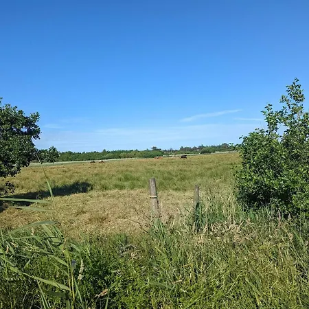 4 Person In * Blåvand